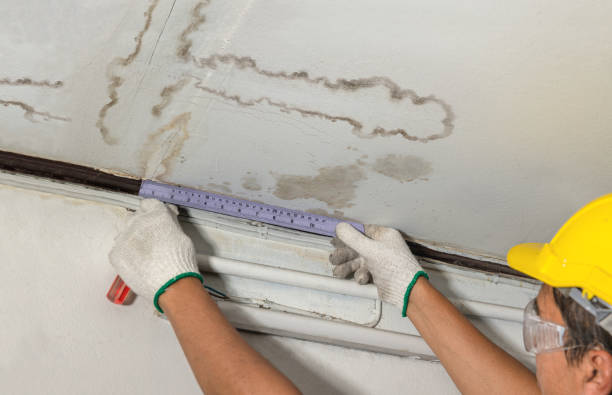 Reliable Water Damage contractor in Ledgewood, NJ by Water Damage Irwin